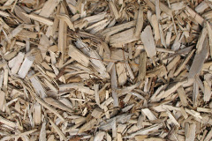 biomass boilers Dunholme